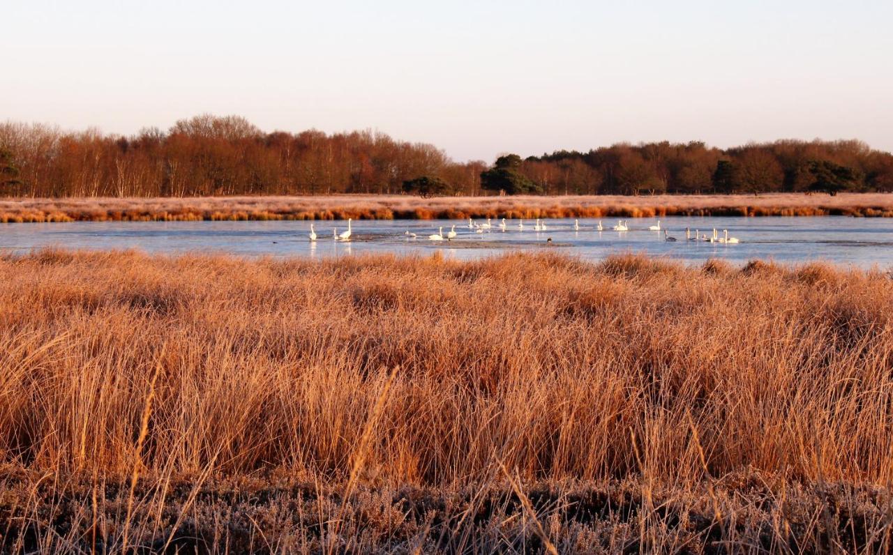 'T Prentenhokkie Stuifzand Buitenkant foto