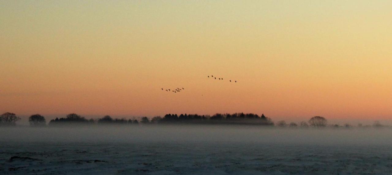 'T Prentenhokkie Stuifzand Buitenkant foto