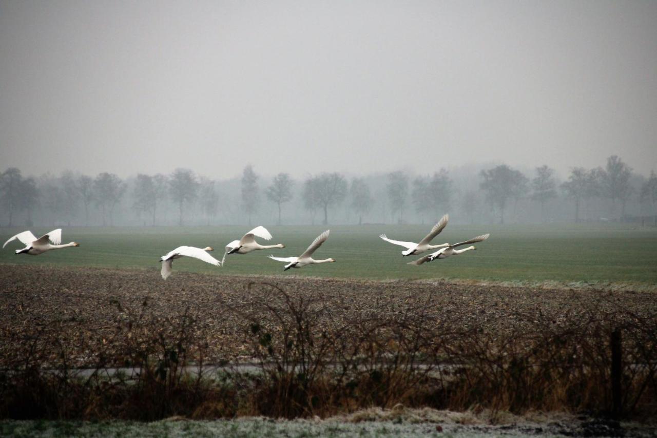 'T Prentenhokkie Stuifzand Buitenkant foto