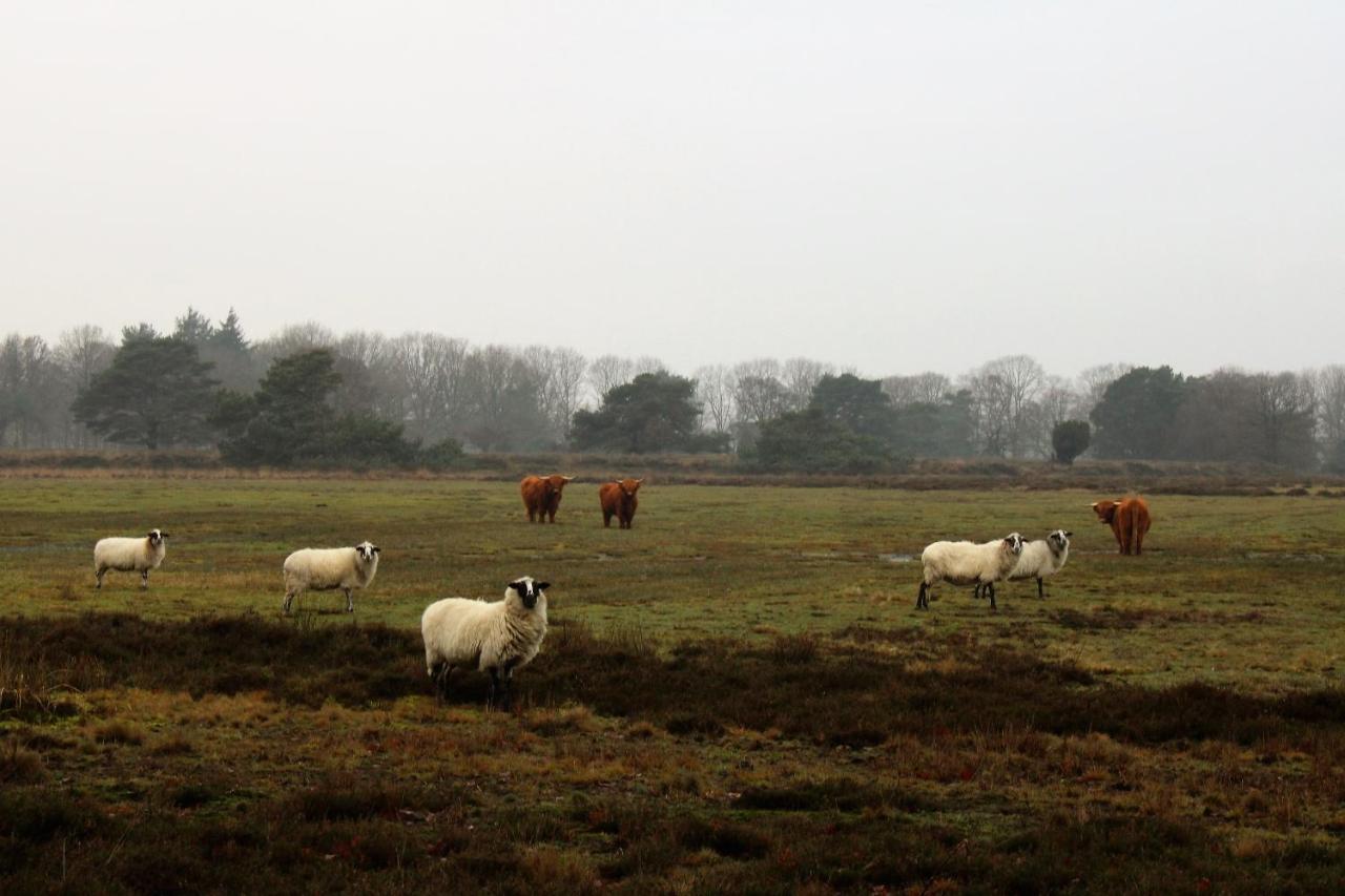 'T Prentenhokkie Stuifzand Buitenkant foto
