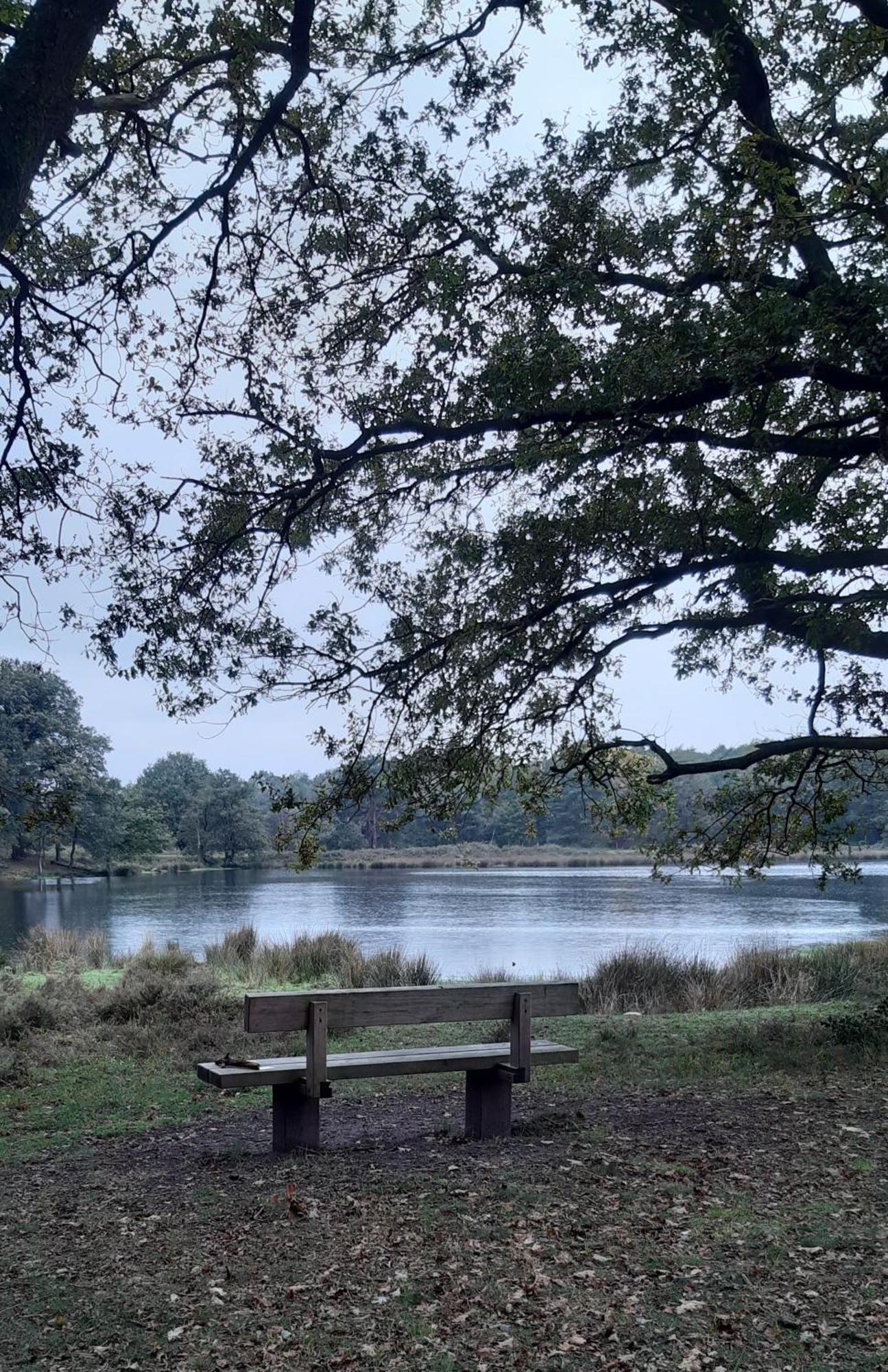 'T Prentenhokkie Stuifzand Buitenkant foto